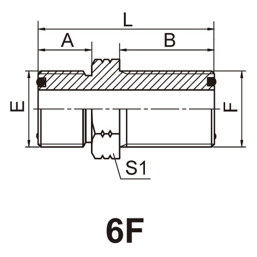 ^(gu)ɽ^ ADAPTER 6F